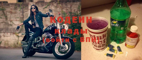 ПСИЛОЦИБИНОВЫЕ ГРИБЫ Арсеньев