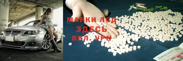 ПСИЛОЦИБИНОВЫЕ ГРИБЫ Арсеньев