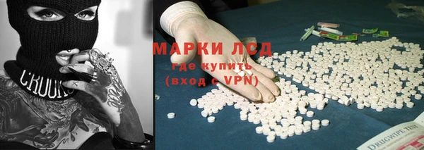 ПСИЛОЦИБИНОВЫЕ ГРИБЫ Арсеньев